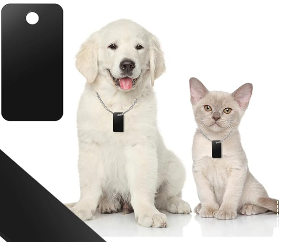 imagen general de placa color negro